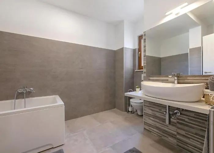 Beautiful Dani With Panoramic View In Vizina Vižinada