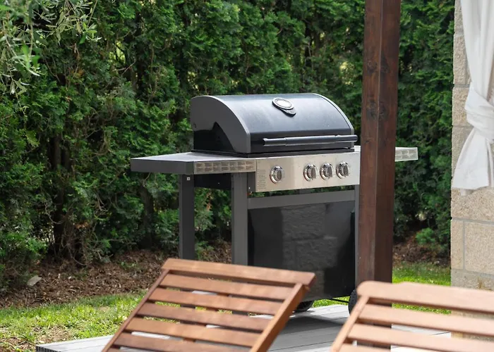 Beautiful Dani With Panoramic View In Vizina